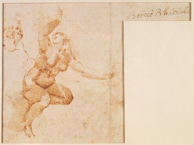 女性ヌードの研究 作： Michelangelo Buonarroti